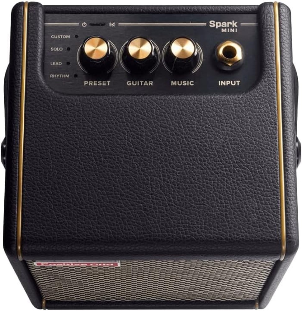 
                                                            Positive Grid Spark MINI