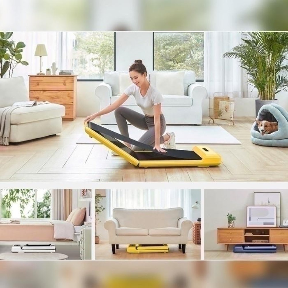 
                                                            WalkingPad C2